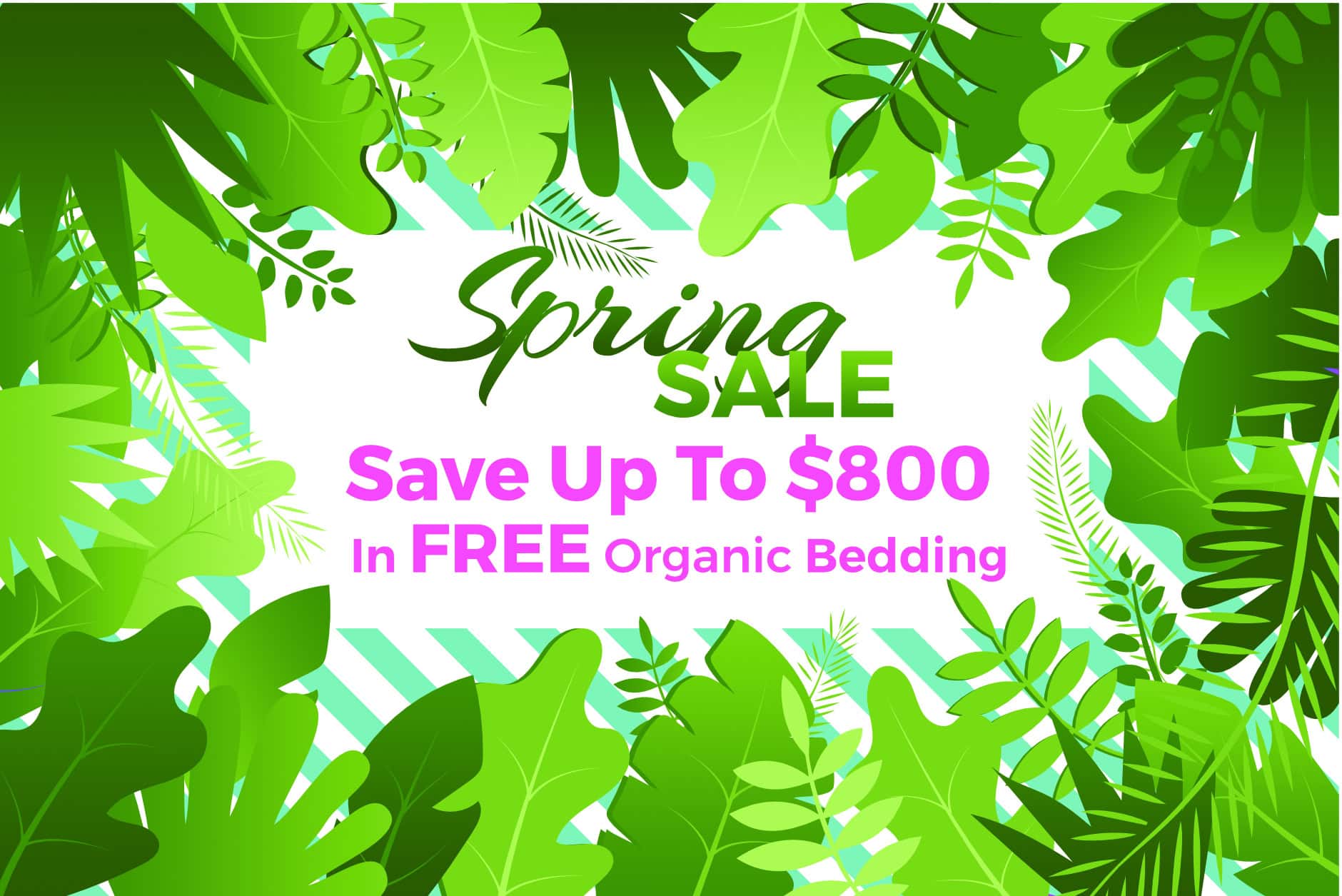 spring sale