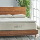 AVOCADO ECO ORGANIC TOPPER 0002 2000w 1 800x