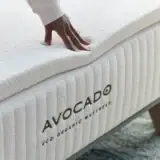 AVO ECO TRUNDLE 00066 2000w f389b35b db76 4df7 a0f1 e9aeffa7af9c 800x