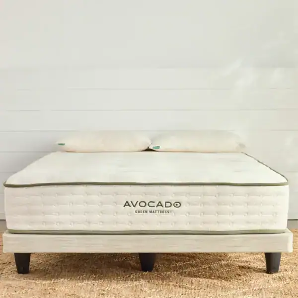 AvocadoGreenFoundationLowProfile 800x AvocadoGreenFoundationLowProfile 800x