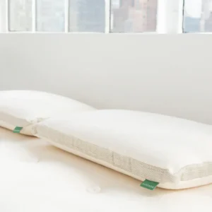 AvocadoGreenMattressMoldedLatexPillowsidesleeper 800x