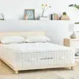 Avocado Organic Luxury Mattress Standard AVO MALIBU PLATFORM STANDARD 02152 2000w 800x Avocado Organic Luxury Mattress Standard AVO MALIBU PLATFORM STANDARD 02152 2000w 800x