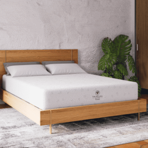 Cielo Plush NMCIEP 10 RoomAngle Cielo Plush NMCIEP 10 RoomAngle