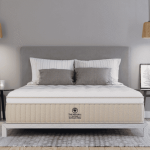 Elyisan Firm NMHELF RoomFront