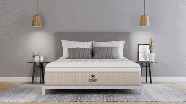 Elyisan Firm NMHELF RoomFront