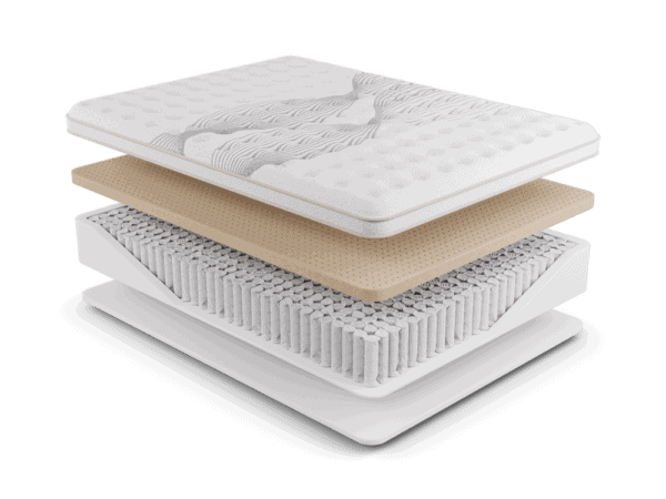 Elysian Firm NMHELF Layer