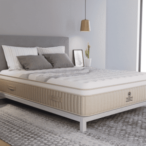 Elysian Firm NMHELF RoomAngle Elysian Firm NMHELF RoomAngle