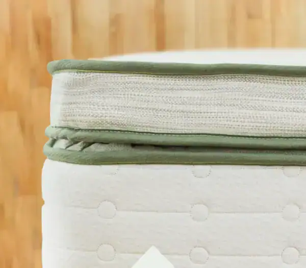 Green Box Top Content Image plush