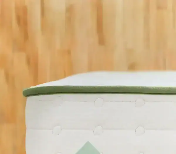 Green Standard Content Image firm
