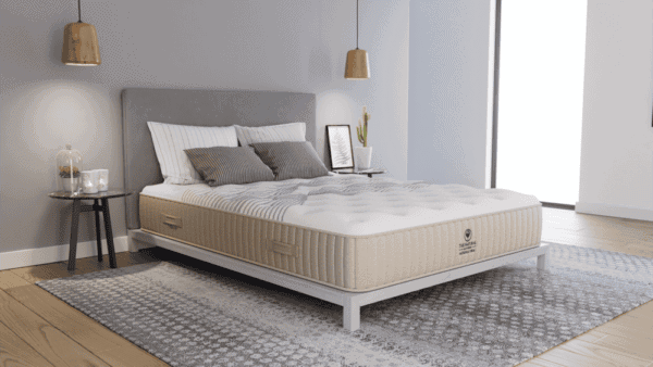 Moksha Firm NMHMOF RoomAngle