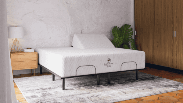 Split Head Cielo Plush NMCISP 10 RoomAngle