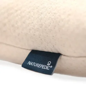 np toddlerpillow wb09 1000x1000 1