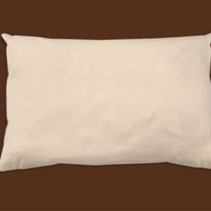 organic cotton pillow naturepedic