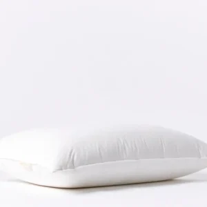 down pillow a fall21 0742 b0427b28 cf6e 4412 9259 bae78b55ee74 1 down pillow a fall21 0742 b0427b28 cf6e 4412 9259 bae78b55ee74 1