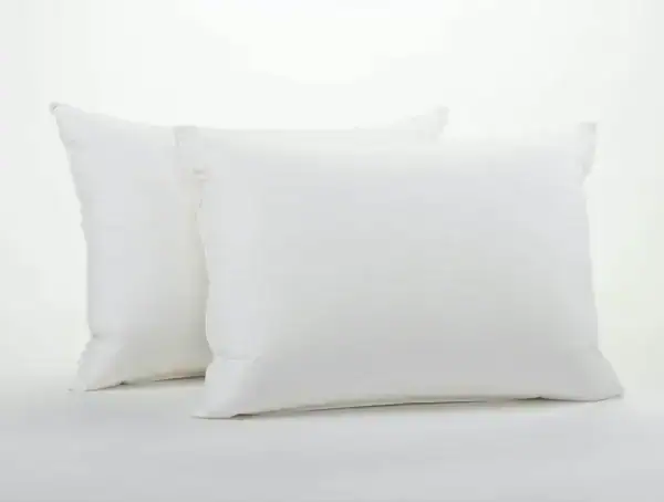down pillow insert f6f22cd1 f95a 46e0 81a1 34012edd571f 1