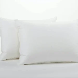 down pillow insert f6f22cd1 f95a 46e0 81a1 34012edd571f