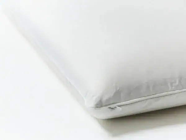 pdp moldedlatex detail white f19 e 2 2 840b504b eb59 408d b778 8dfdb98de9fa