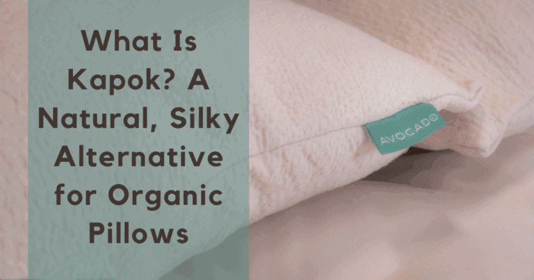 What Is Kapok A Natural Silky Alternative for Organic Pillows