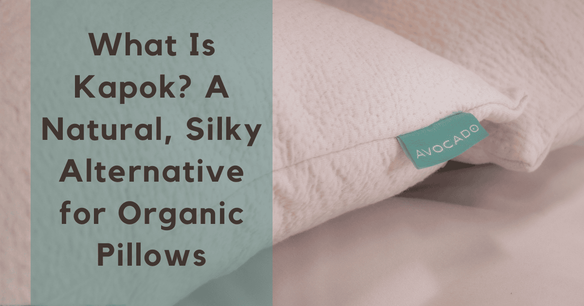 What Is Kapok A Natural Silky Alternative for Organic Pillows